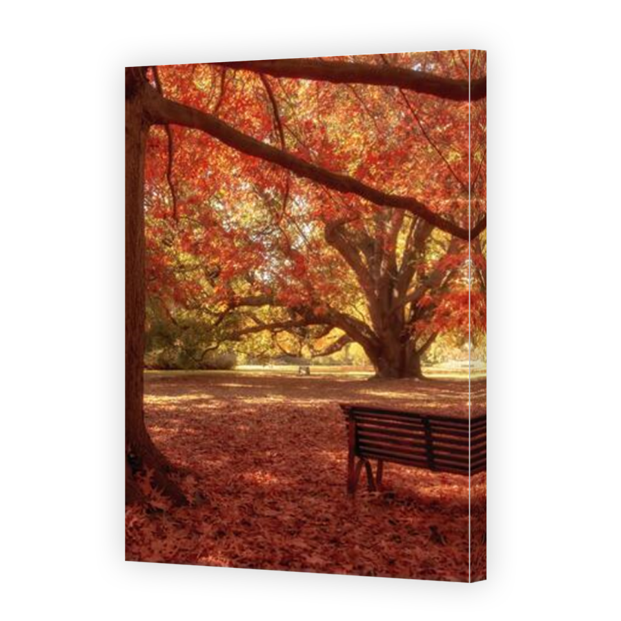 Thumbnail for Canvas - Mirror Image Canvas Wrap