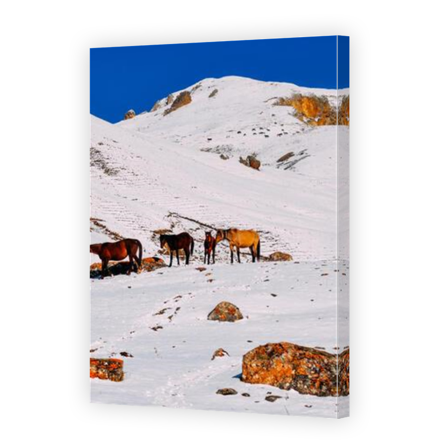 Thumbnail for Canvas - Mirror Image Canvas Wrap