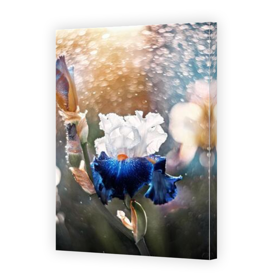 Thumbnail for Canvas - Mirror Image Canvas Wrap
