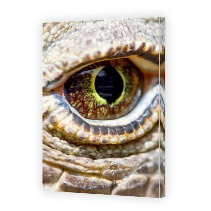 Thumbnail for Canvas - Mirror Image Canvas Wrap