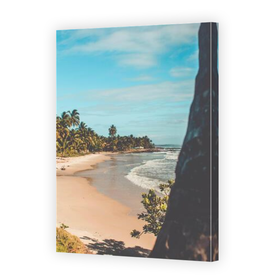 Thumbnail for Canvas - Mirror Image Canvas Wrap
