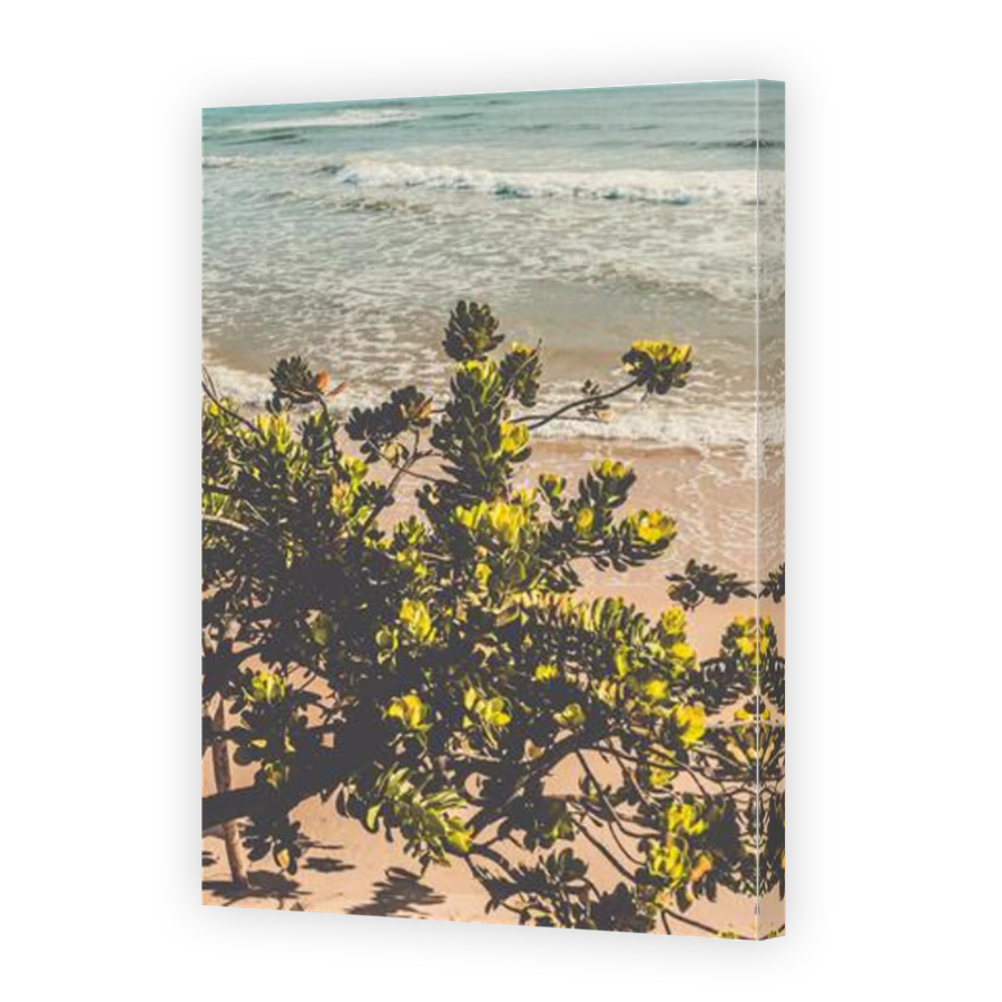 Thumbnail for Canvas - Mirror Image Canvas Wrap