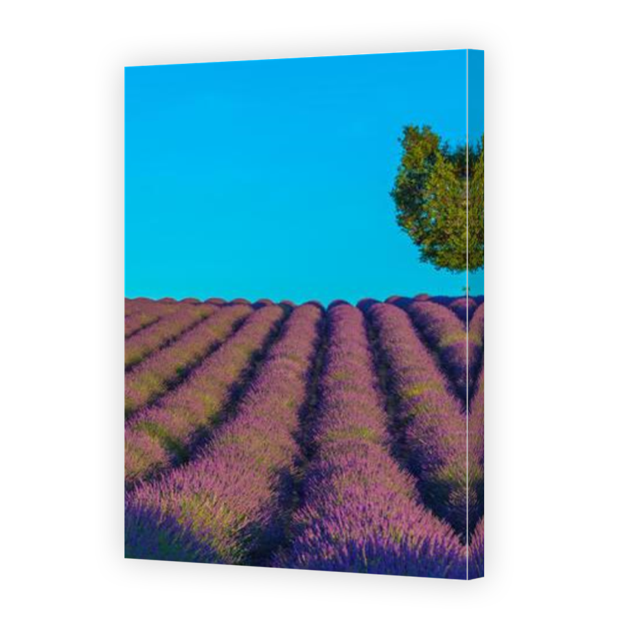 Thumbnail for Canvas - Mirror Image Canvas Wrap