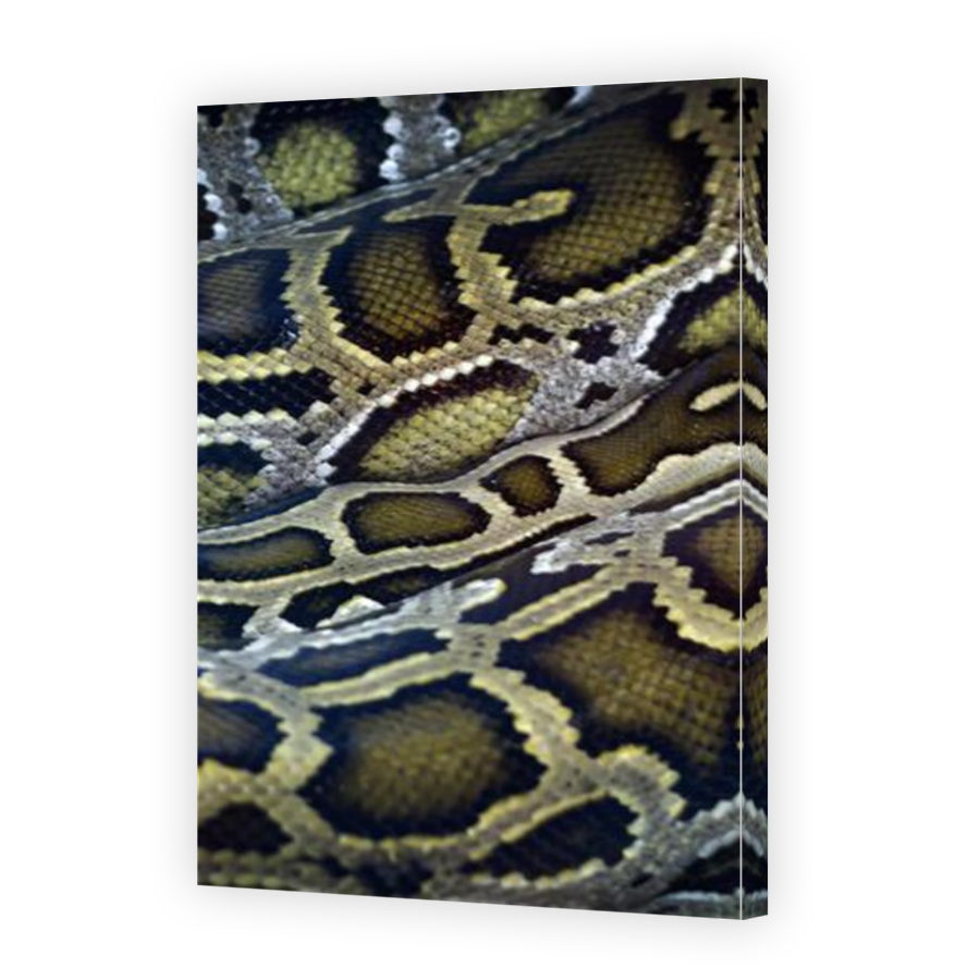 Thumbnail for Canvas - Mirror Image Canvas Wrap