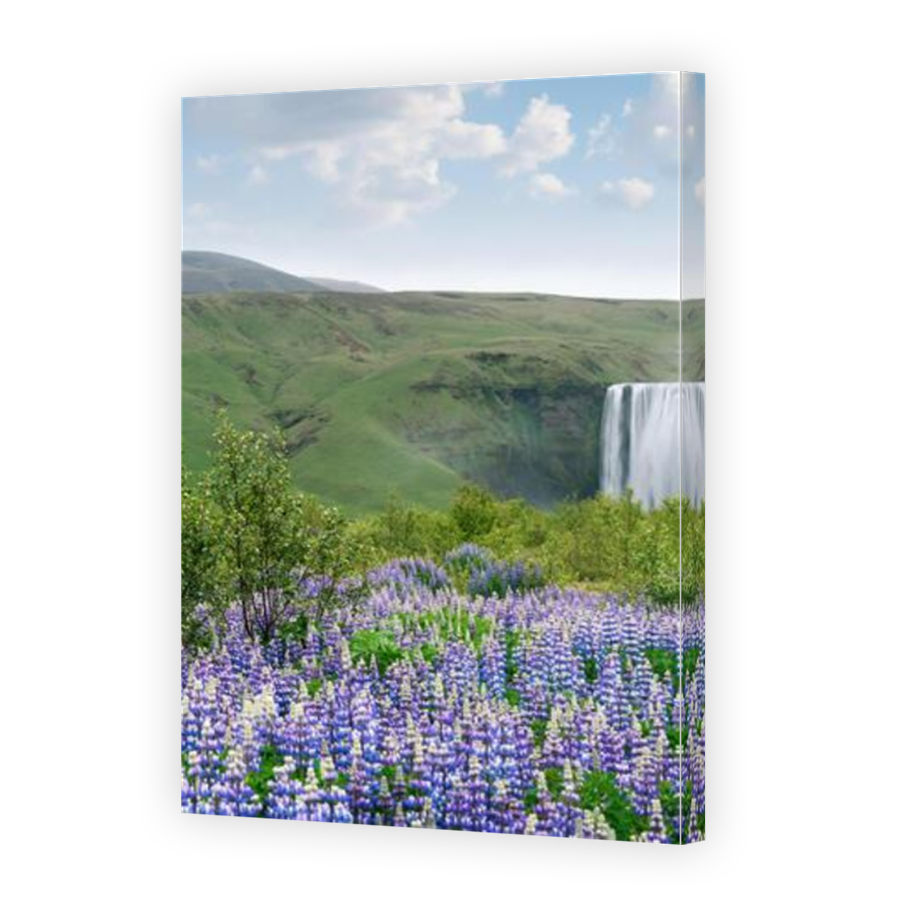 Thumbnail for Canvas - Mirror Image Canvas Wrap