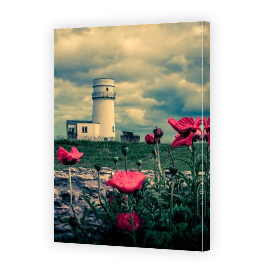 Thumbnail for Canvas - Mirror Image Canvas Wrap