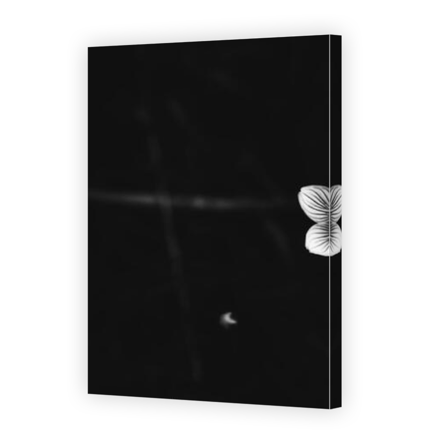 Thumbnail for Canvas - Mirror Image Canvas Wrap