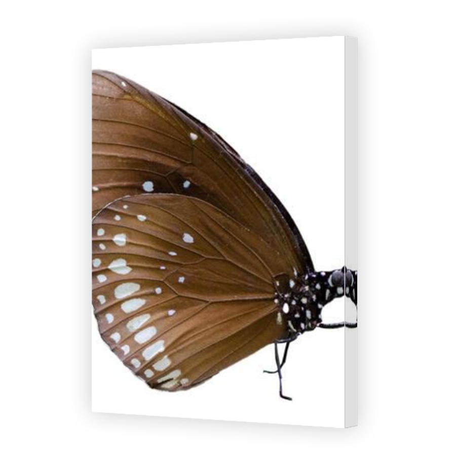 Thumbnail for Canvas - Mirror Image Canvas Wrap