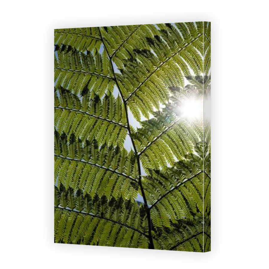 Thumbnail for Canvas - Mirror Image Canvas Wrap