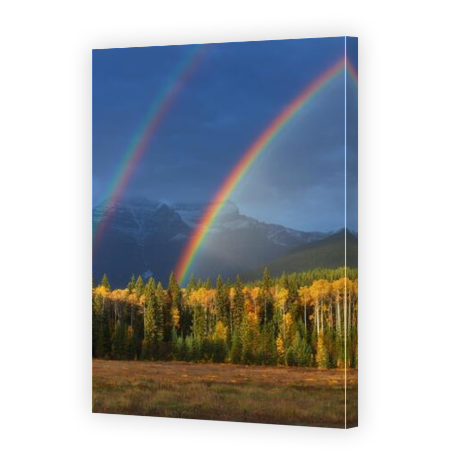 Thumbnail for Canvas - Mirror Image Canvas Wrap