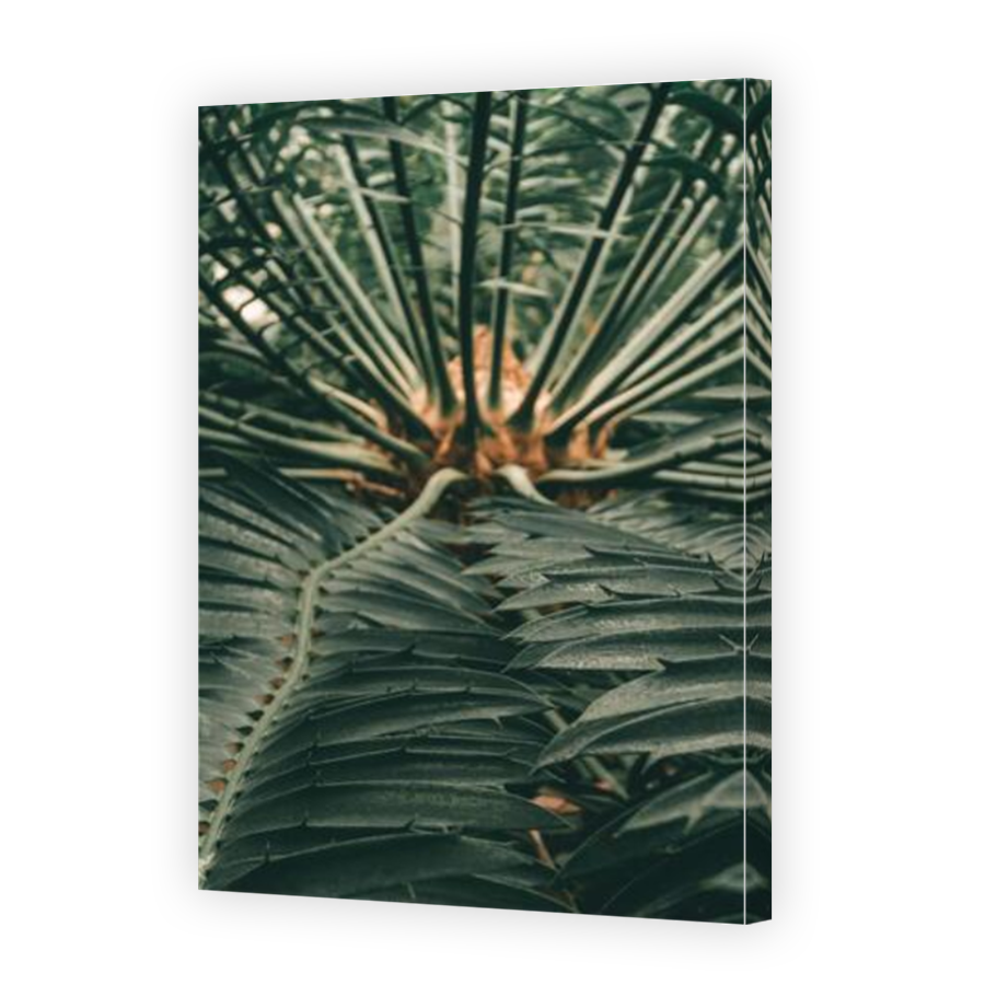 Thumbnail for Canvas - Mirror Image Canvas Wrap
