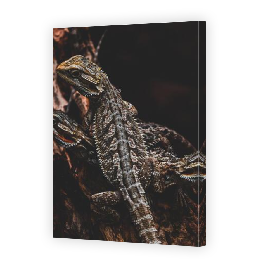 Thumbnail for Canvas - Mirror Image Canvas Wrap