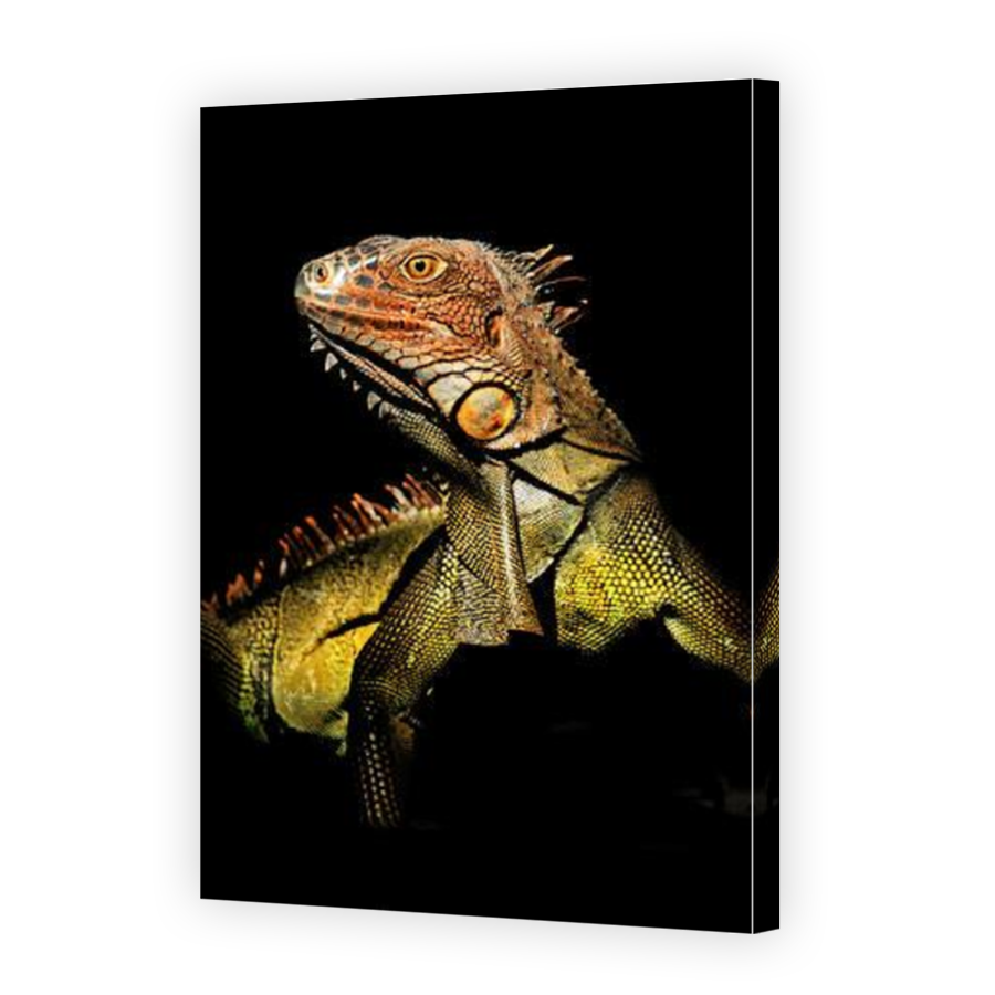 Thumbnail for Canvas - Mirror Image Canvas Wrap