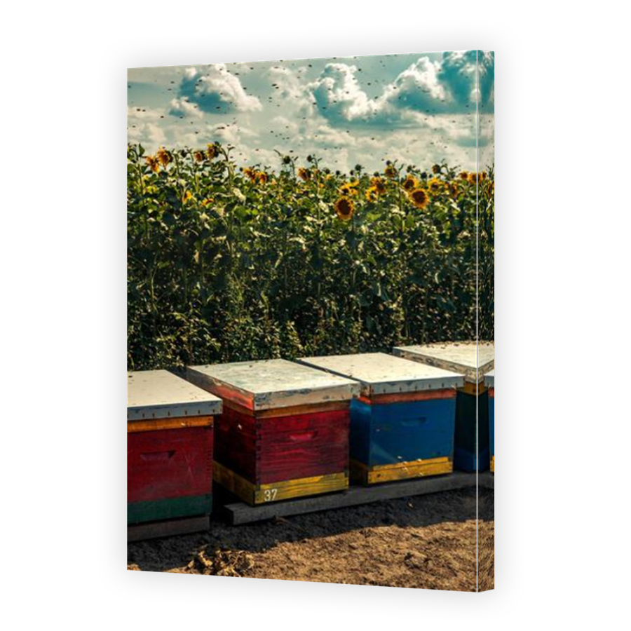 Thumbnail for Canvas - Mirror Image Canvas Wrap