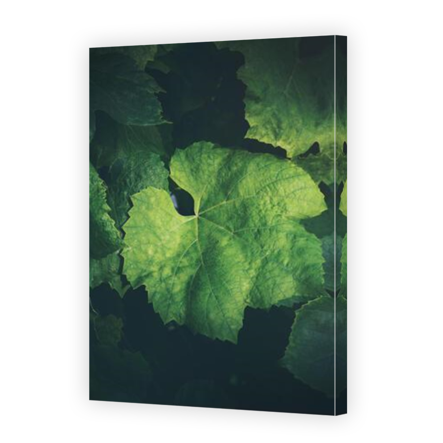 Thumbnail for Canvas - Mirror Image Canvas Wrap