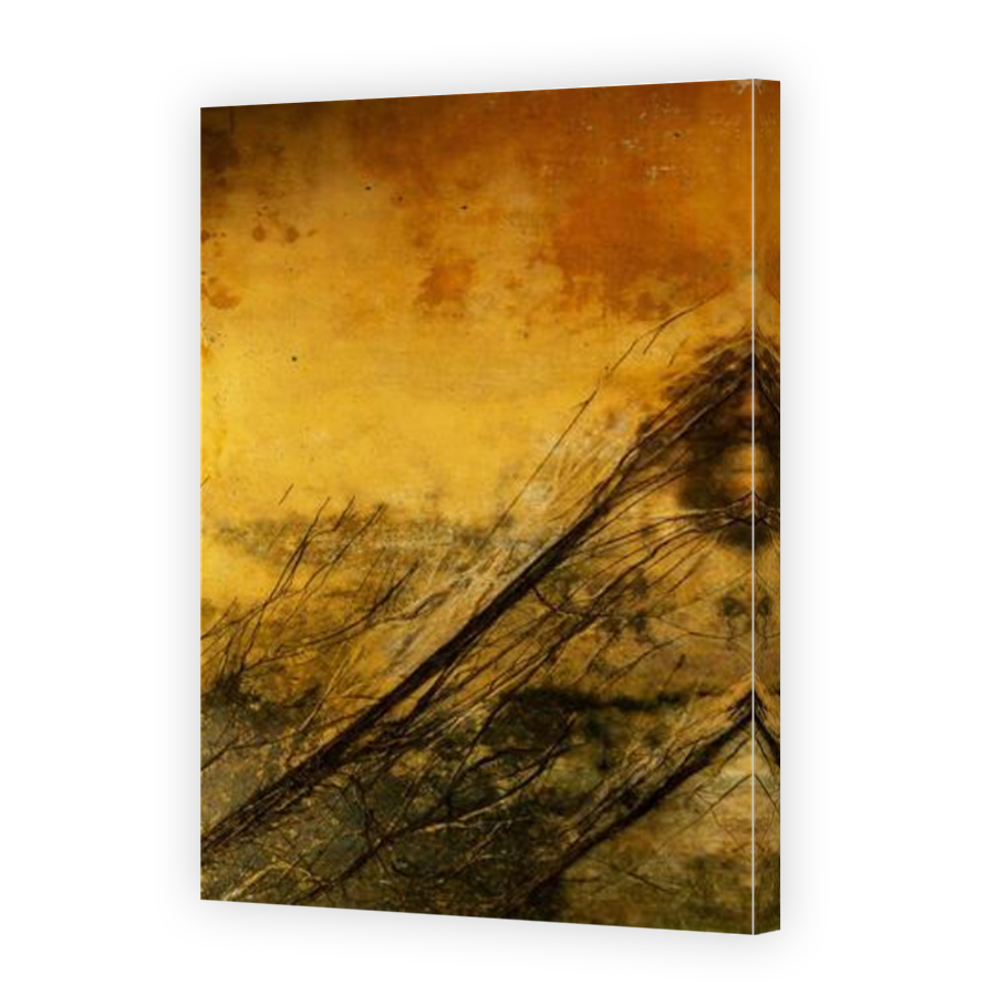 Thumbnail for Canvas - Mirror Image Canvas Wrap
