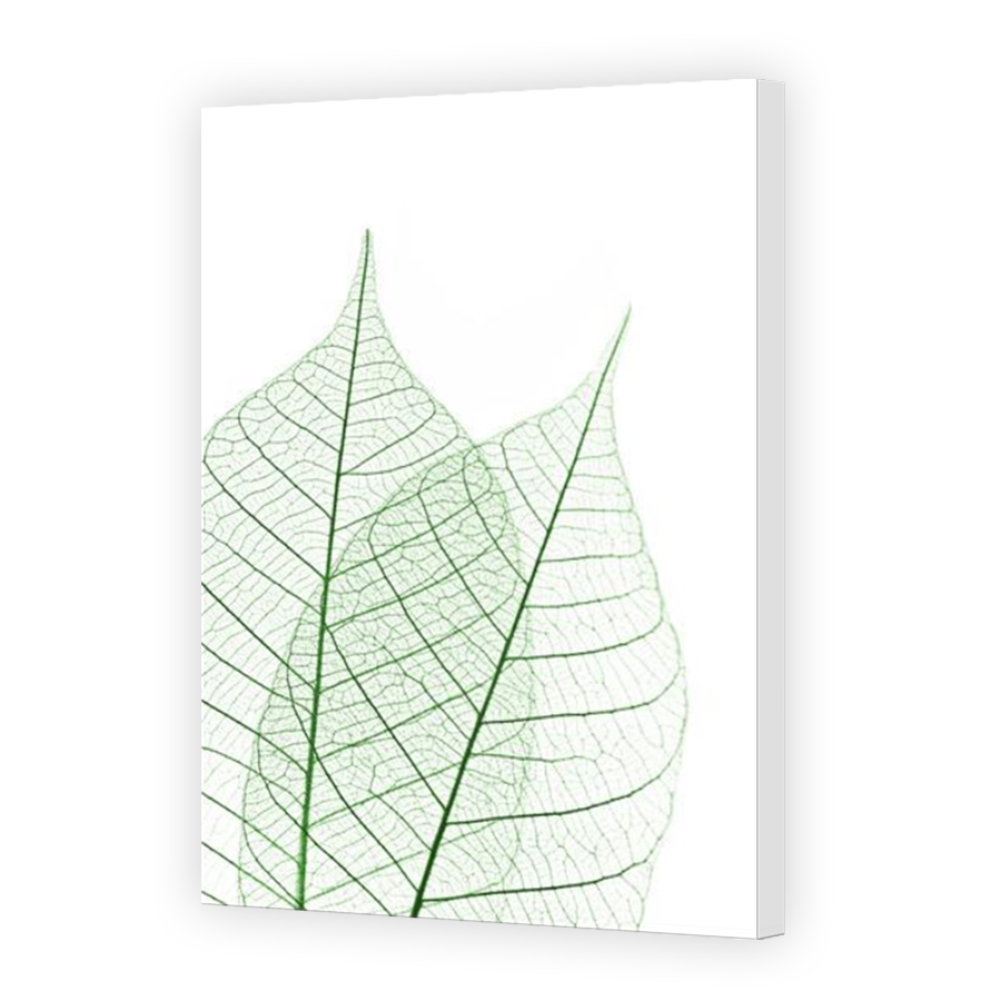 Thumbnail for Canvas - Mirror Image Canvas Wrap