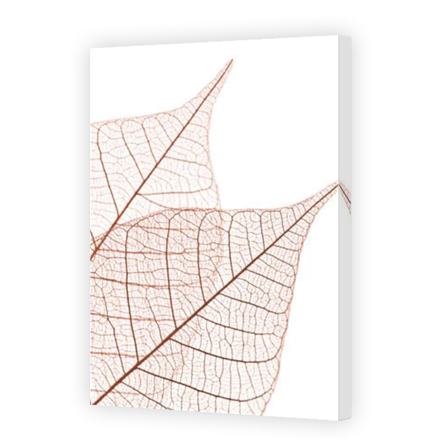 Thumbnail for Canvas - Mirror Image Canvas Wrap