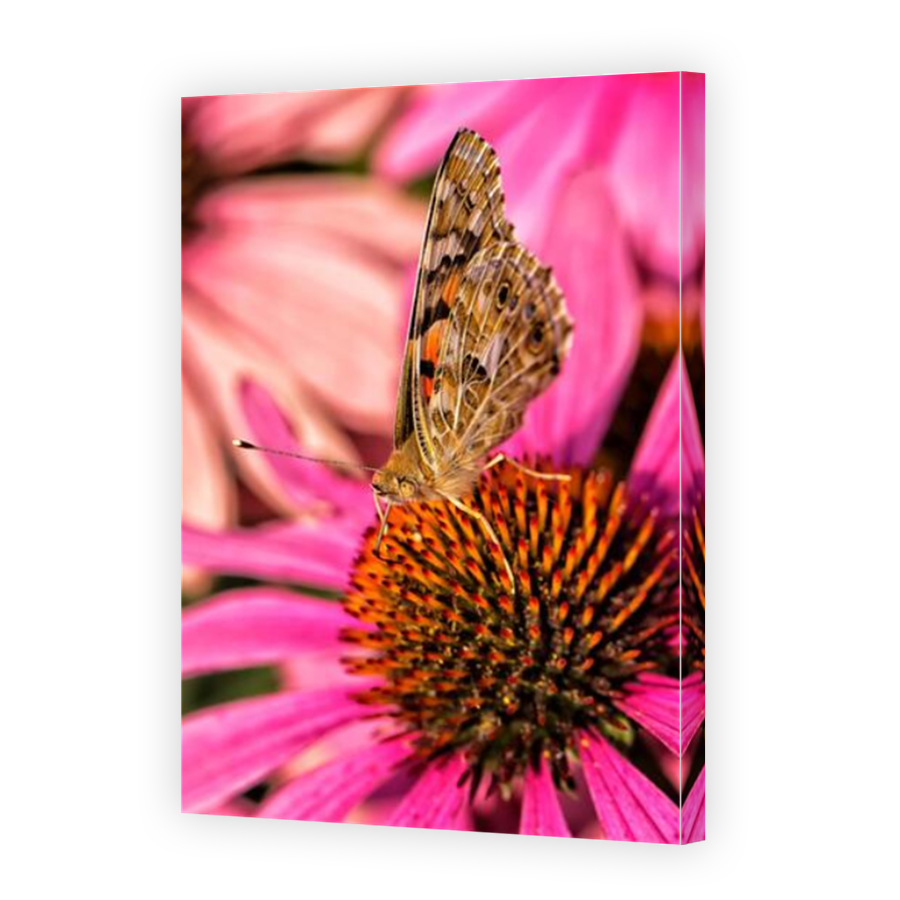 Thumbnail for Canvas - Mirror Image Canvas Wrap