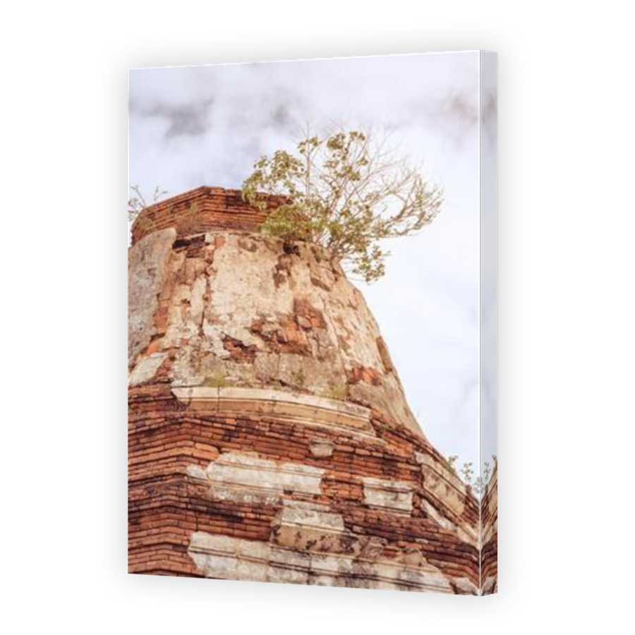 Thumbnail for Canvas - Mirror Image Canvas Wrap