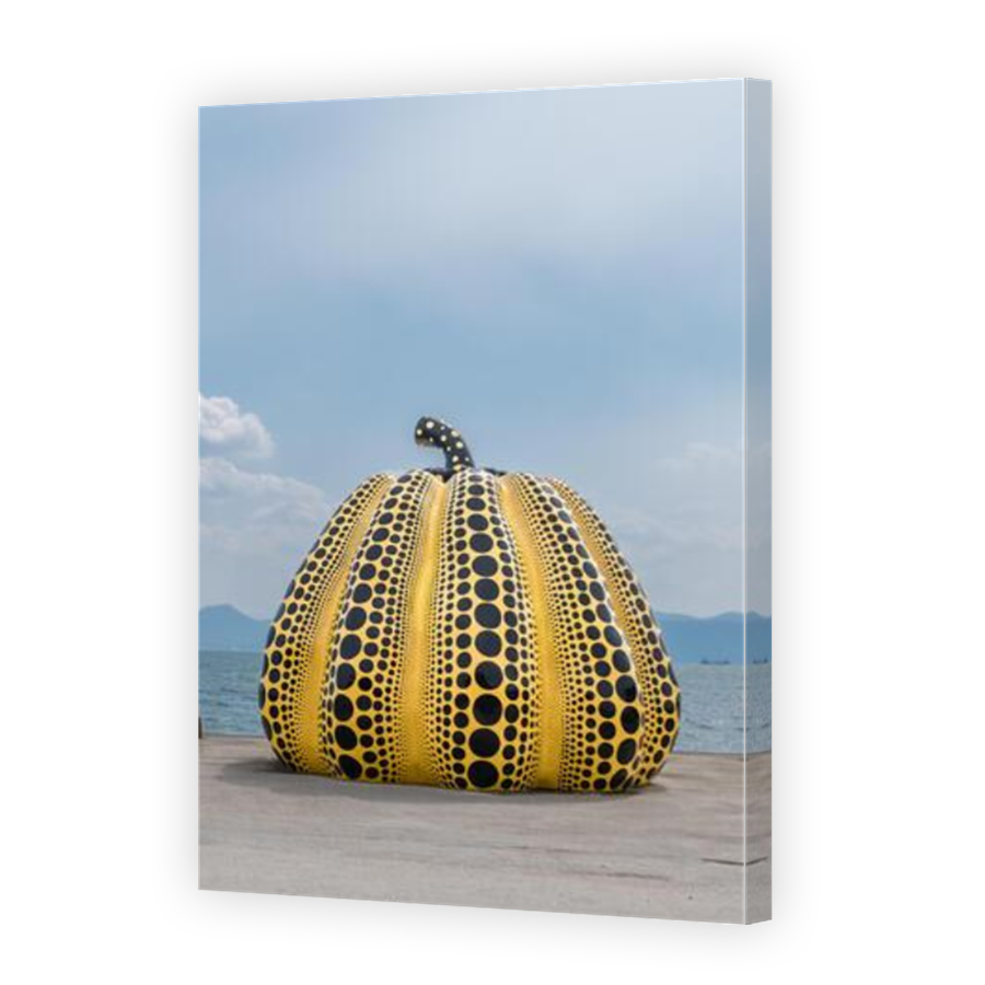 Thumbnail for Canvas - Mirror Image Canvas Wrap
