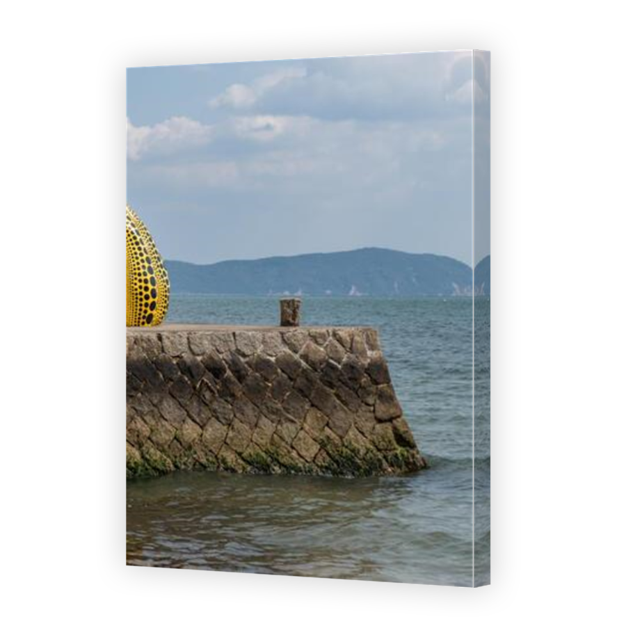 Thumbnail for Canvas - Mirror Image Canvas Wrap