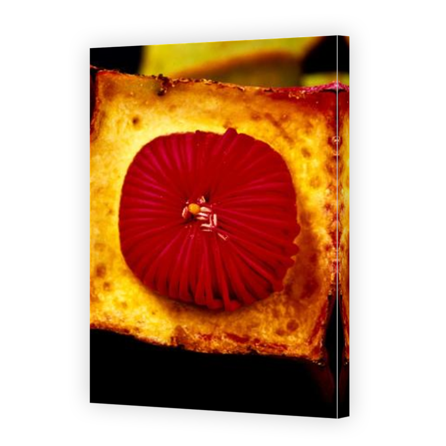 Thumbnail for Canvas - Mirror Image Canvas Wrap