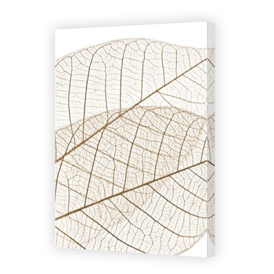Thumbnail for Canvas - Mirror Image Canvas Wrap