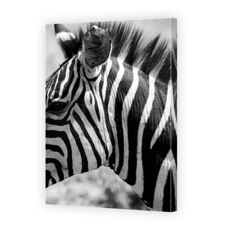 Thumbnail for Canvas - Mirror Image Canvas Wrap