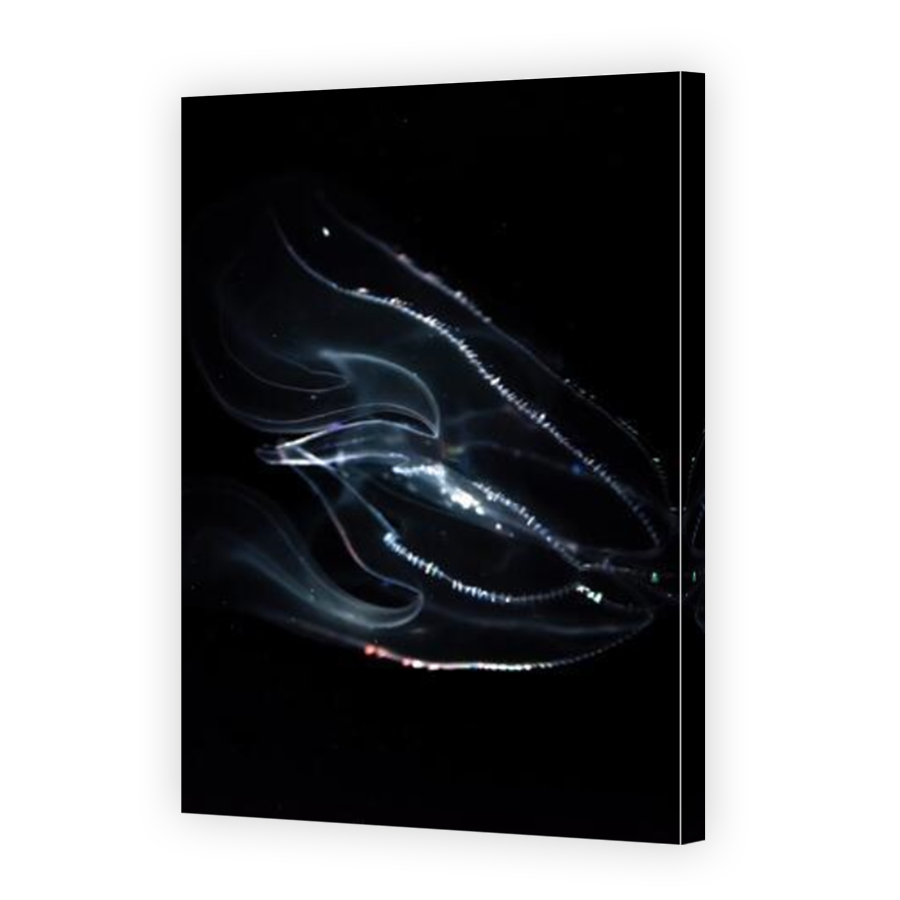 Thumbnail for Canvas - Mirror Image Canvas Wrap