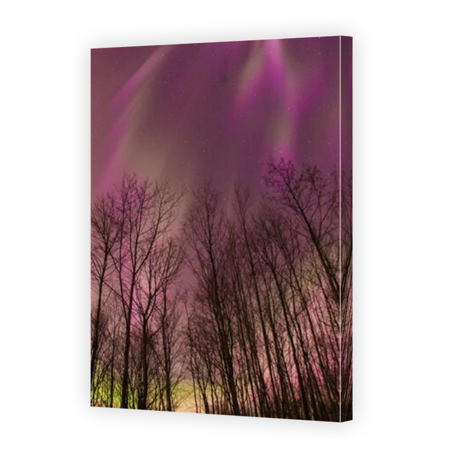 Thumbnail for Canvas - Mirror Image Canvas Wrap