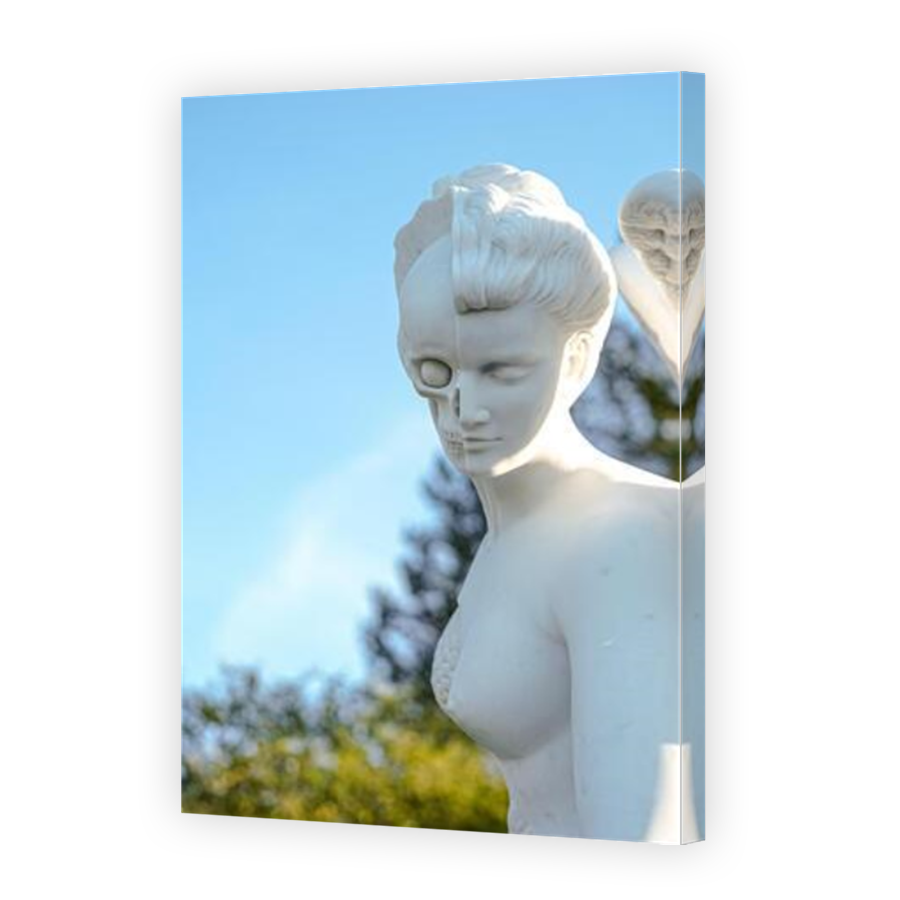 Thumbnail for Canvas - Mirror Image Canvas Wrap