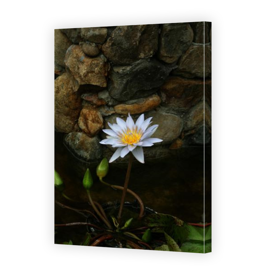 Thumbnail for Canvas - Mirror Image Canvas Wrap