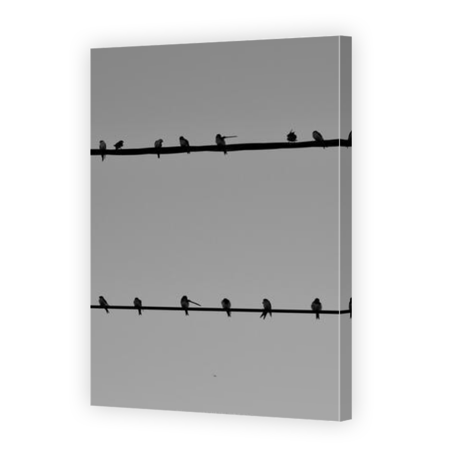 Thumbnail for Canvas - Mirror Image Canvas Wrap