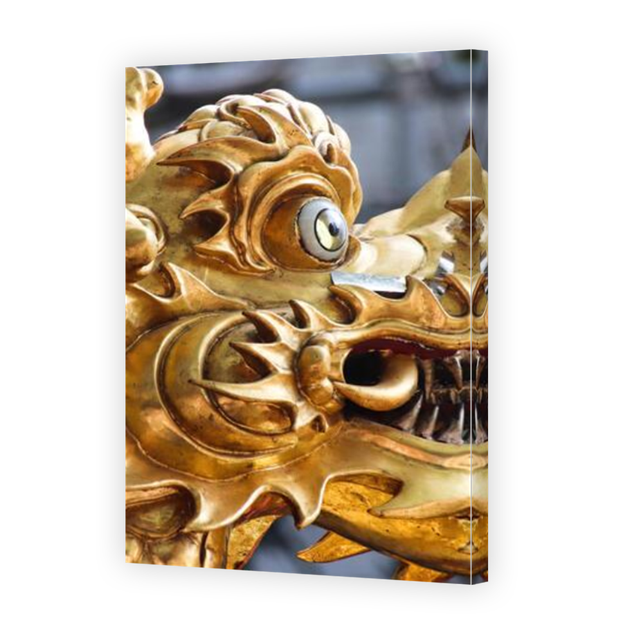 Thumbnail for Canvas - Mirror Image Canvas Wrap