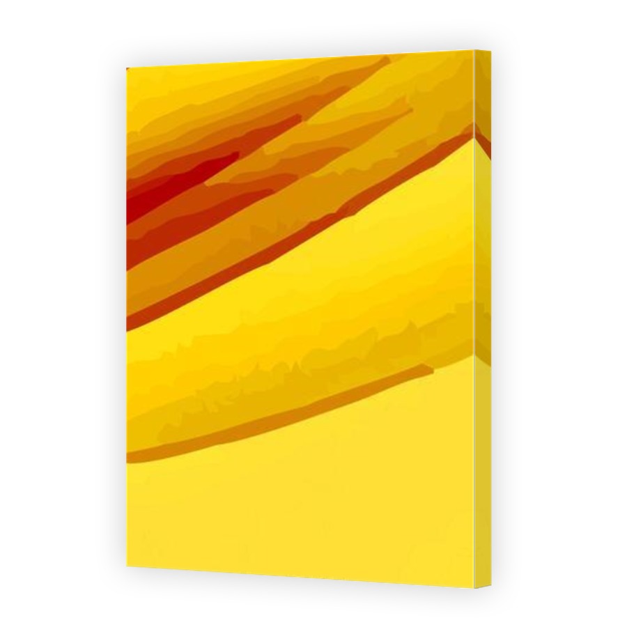 Thumbnail for Canvas - Mirror Image Canvas Wrap