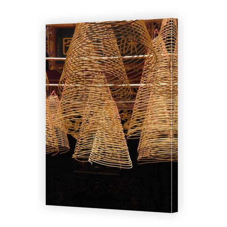 Thumbnail for Canvas - Mirror Image Canvas Wrap