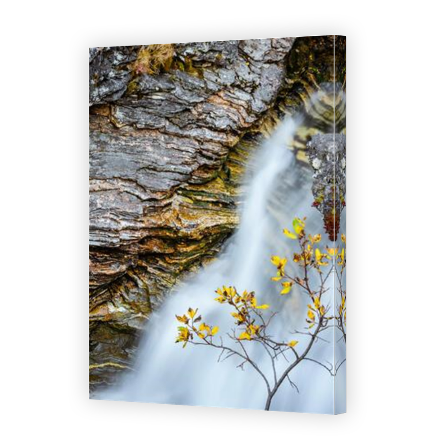 Thumbnail for Canvas - Mirror Image Canvas Wrap