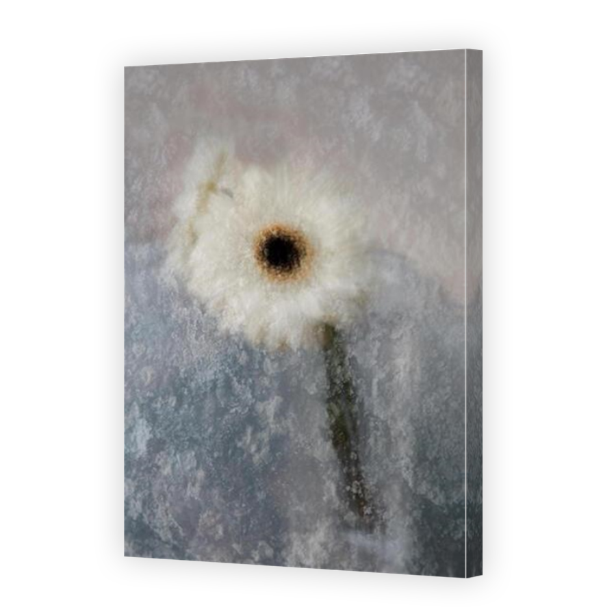 Thumbnail for Canvas - Mirror Image Canvas Wrap