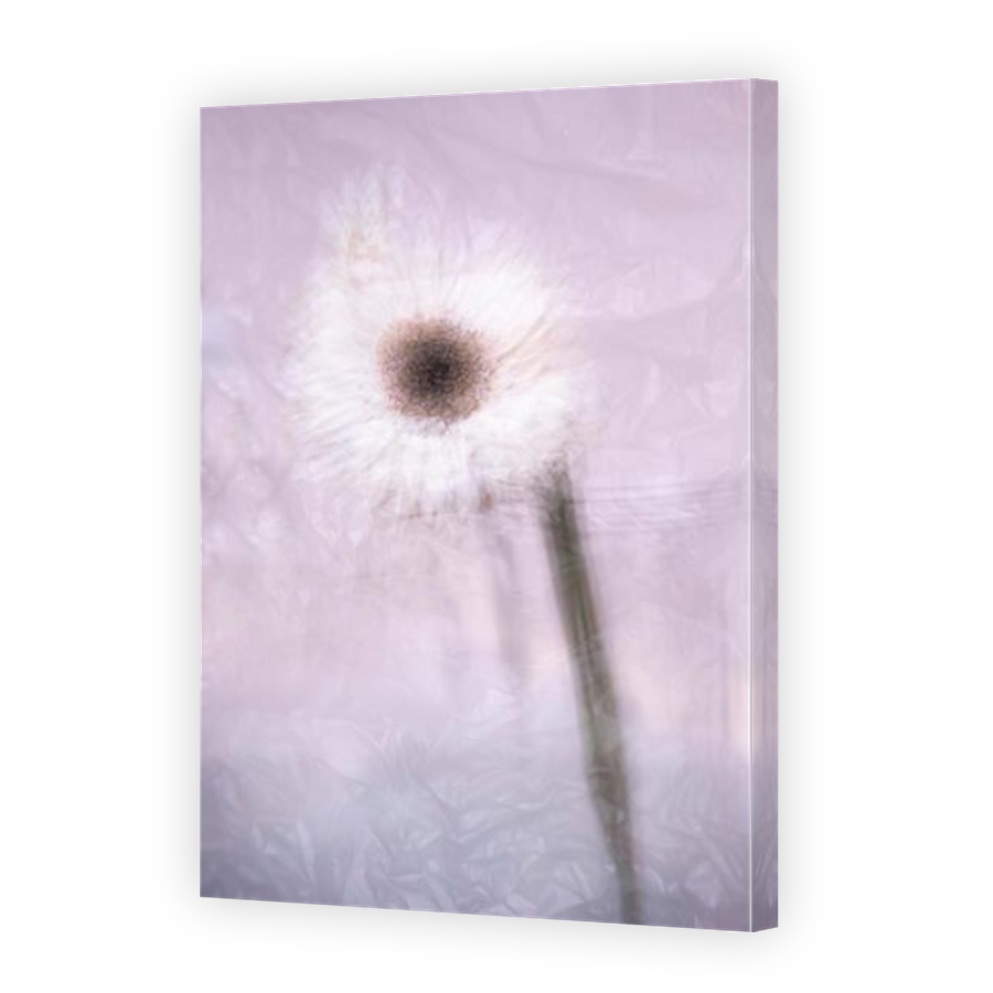 Thumbnail for Canvas - Mirror Image Canvas Wrap