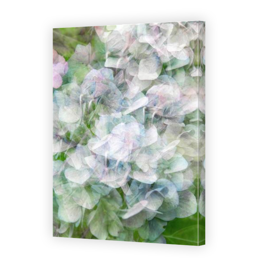 Thumbnail for Canvas - Mirror Image Canvas Wrap