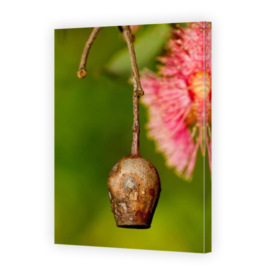 Thumbnail for Canvas - Mirror Image Canvas Wrap