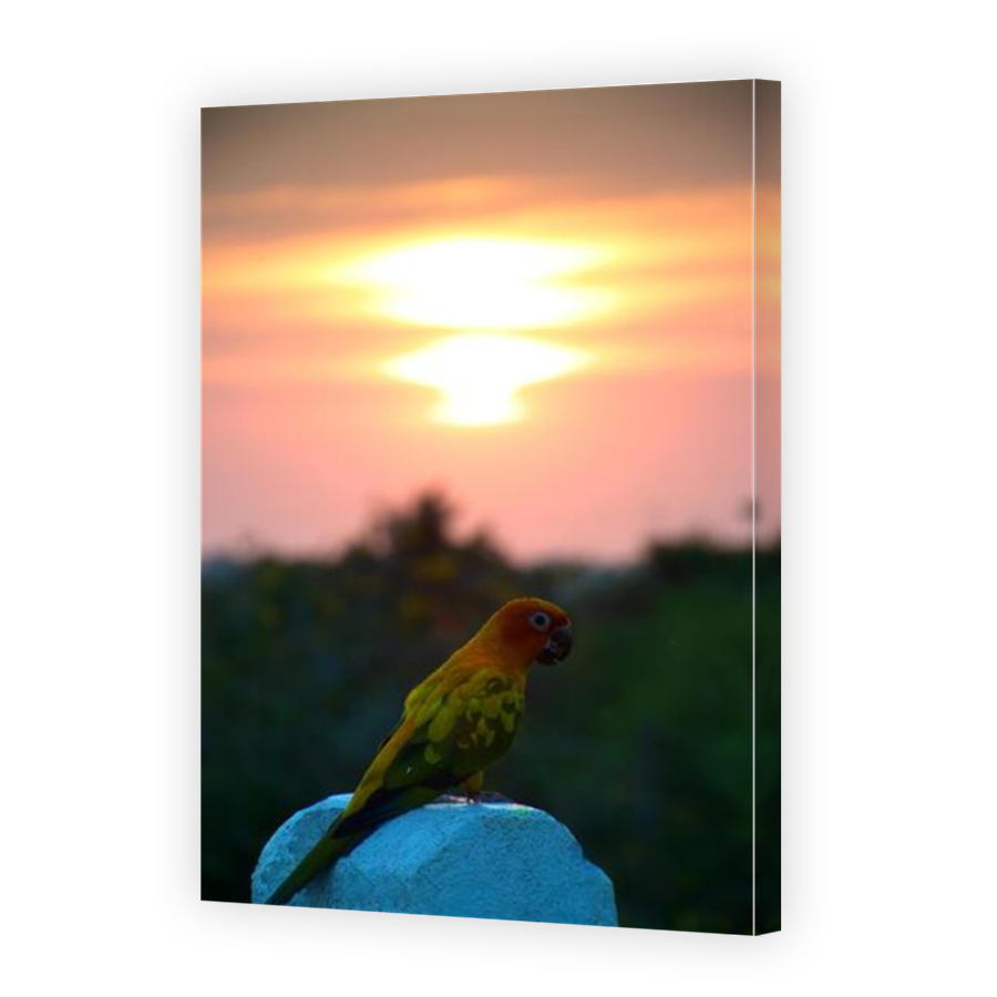 Thumbnail for Canvas - Mirror Image Canvas Wrap