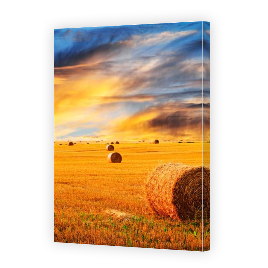 Thumbnail for Canvas - Mirror Image Canvas Wrap