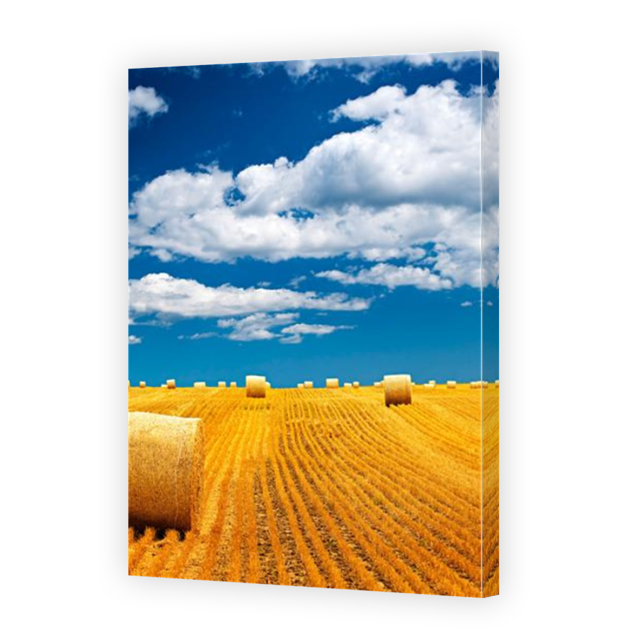 Thumbnail for Canvas - Mirror Image Canvas Wrap