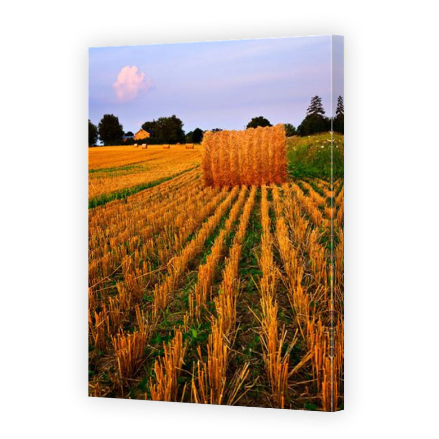 Thumbnail for Canvas - Mirror Image Canvas Wrap