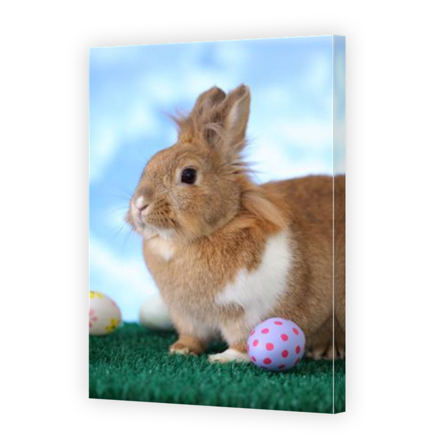 Thumbnail for Canvas - Mirror Image Canvas Wrap
