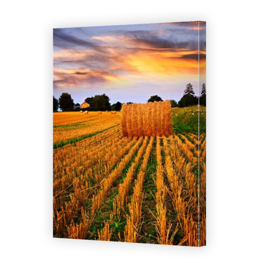 Thumbnail for Canvas - Mirror Image Canvas Wrap