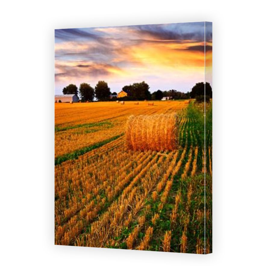 Thumbnail for Canvas - Mirror Image Canvas Wrap
