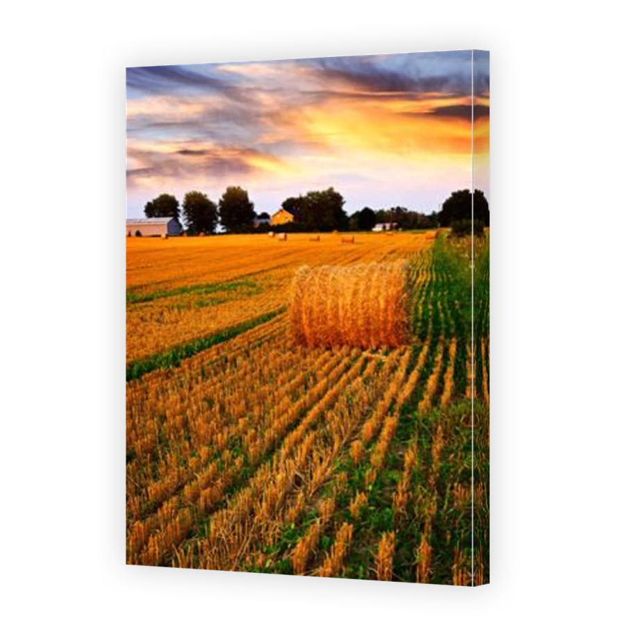Thumbnail for Canvas - Mirror Image Canvas Wrap